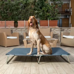 Brandina richiudibile per cani da esterni PetUp