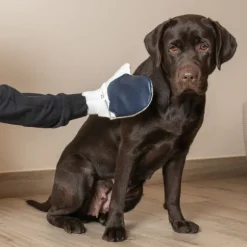 Guanto Magic per cani a pelo corto PetUp