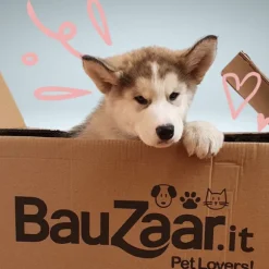 Puppy Bundle il necessario per cuccioli