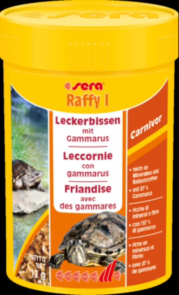 Sera Raffy I Turtles